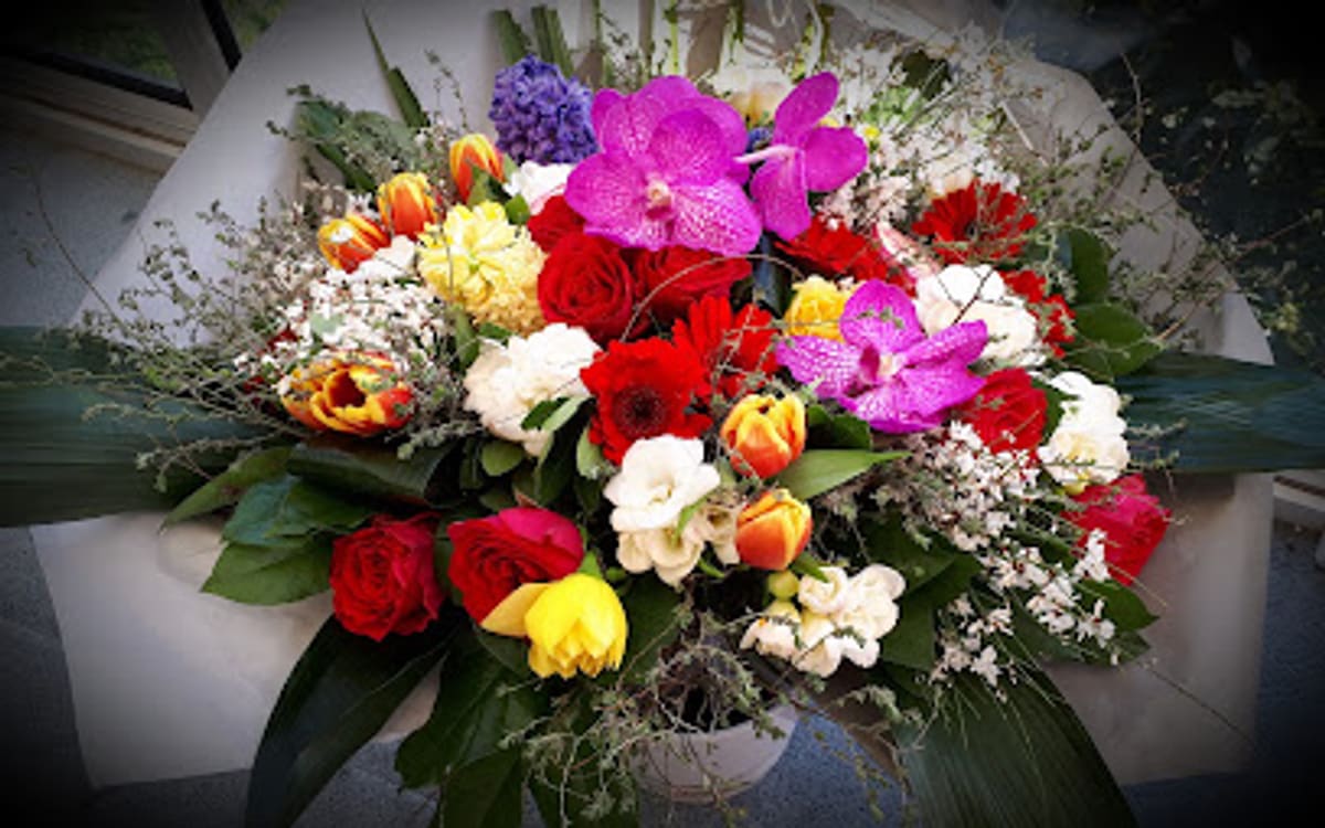 Photo de Elya Flor